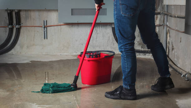 Best Ceiling water damage repair  in Rollingwood, TX