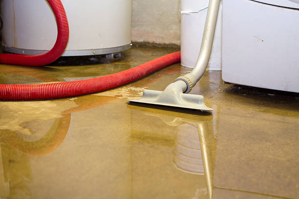  Rollingwood, TX Water damage restoration Pros