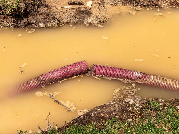 Best Water damage restoration services  in Rollingwood, TX