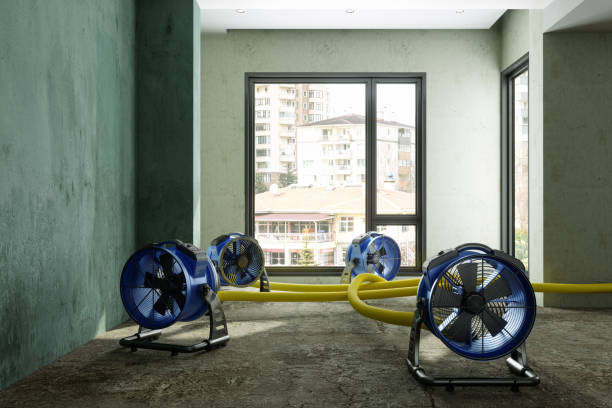 Best Emergency water damage restoration  in Rollingwood, TX
